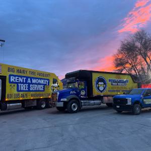 Rent A Monkey Tree Service