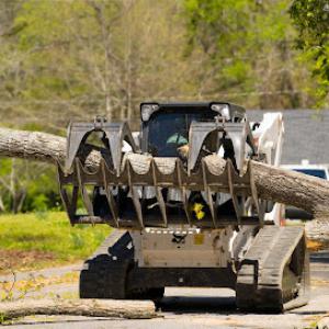 Top Tier Land & Tree