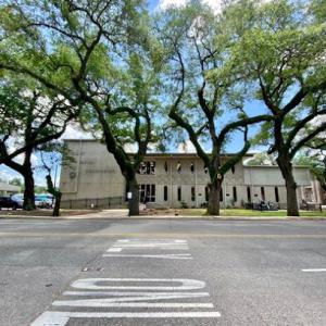Mr Green Jeans Tree Service