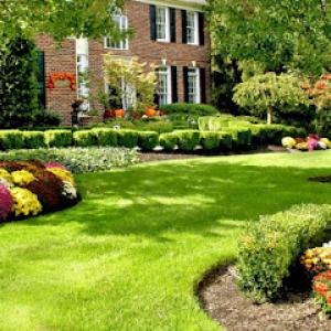 St Clair Lawn Care