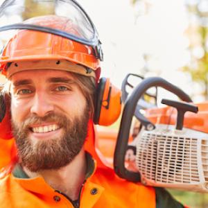Citrus Heights Tree Service