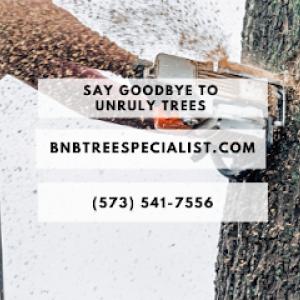 B&B Tree Specialist
