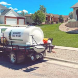 Rushmore Tree N Turf Lawn & Landscaping