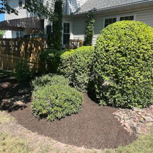 AJ Tree Expert & landscape