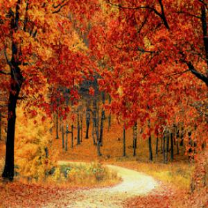 Reading Tree Service