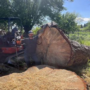 Flow State Tree Works