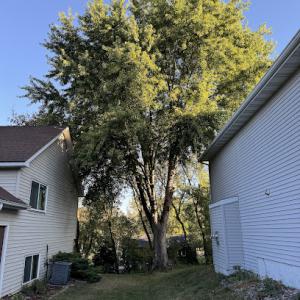 Integrity Tree & Lawn Services