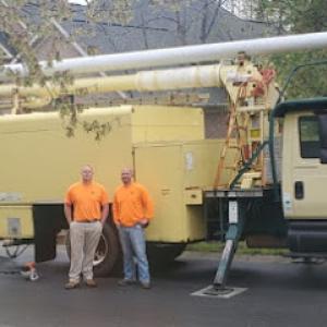 Out On a Limb Tree Service