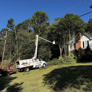 KB’s Tree Service & Firewood