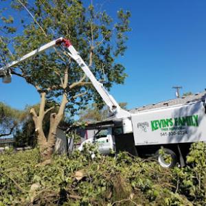 Kevin's Family Tree Service