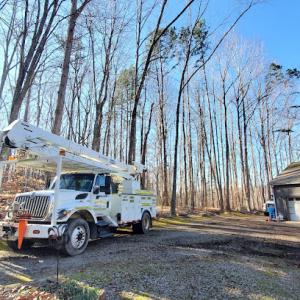 All Seasons Tree Service