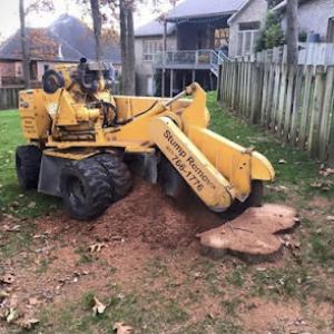 East Stump Grinding