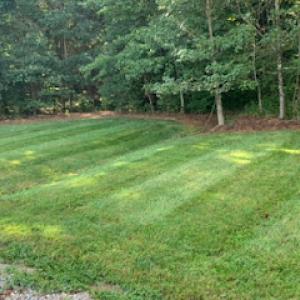 Honeycutt Brothers Lawn Care