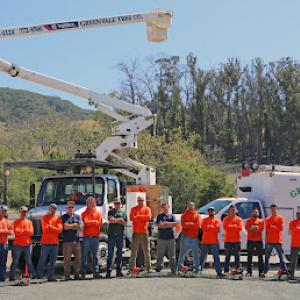 Greenvale Tree Company