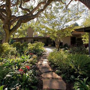 Gosnell Tree & Landscape