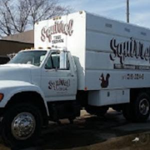 Squirrels Tree Service