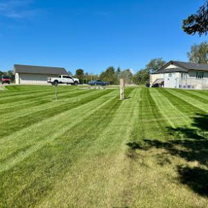 Elite Landscape & Mini Excavation