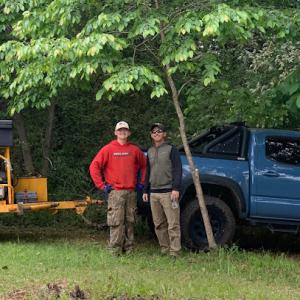 Advance Tree Service