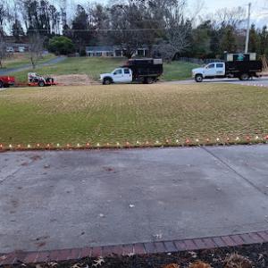 JD Tree Service Tennessee