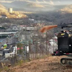 A & A Total Land Management