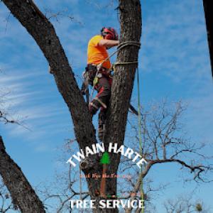 Twain Harte Tree Service