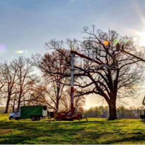 Big O Tree & Lawn Service