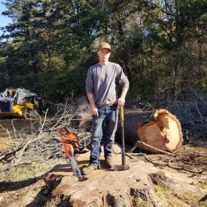 Uprooted Tree Service