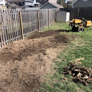 Robert’s stump grinding