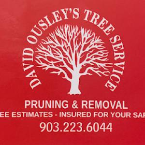 David Ousley's Tree Services