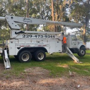 Butler Tree Service