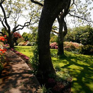 Jason's Tree Service