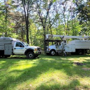 Shiloh Tree Services