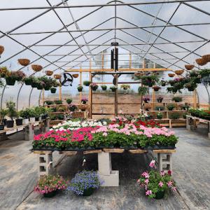 Brothers Tree Service & Garden Center