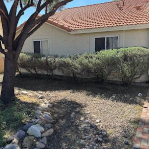 Joe's Yard, Tree, & Irrigation