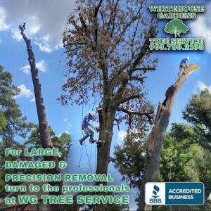 Whitehouse Gardens Tree Service