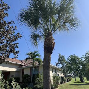 Trees To Go