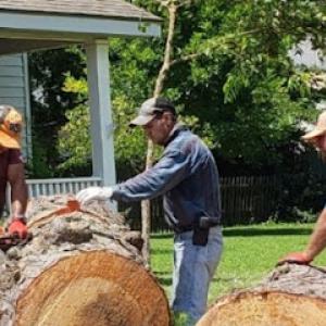 Honest Tree Trimming & Removal Services