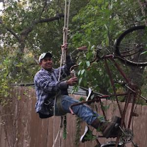 Carbajal Tree Service