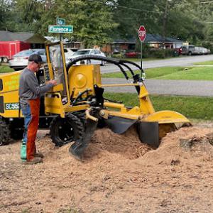 Young's Stump Removal