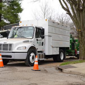 LaRoche Tree Service