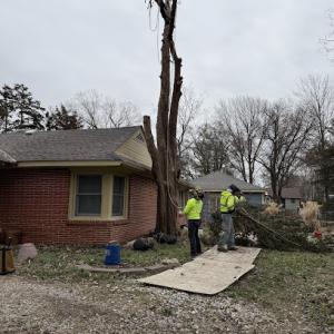 Huff's Tree Services