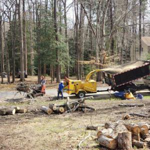 LandscapeX Lawn & Tree Service