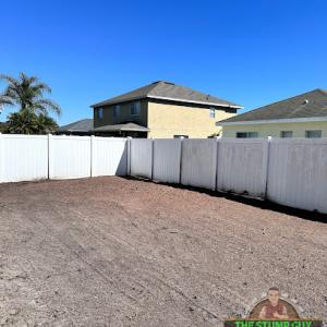 The Stump Guy of Tampa