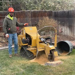 Duran’s Tree Service