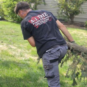 A-1 Tree Pruning & Removal