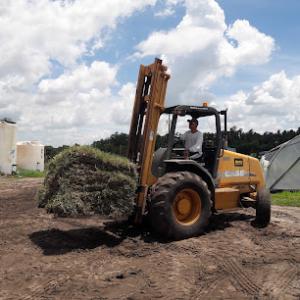 Tezna Landscaping, Trees & Pavers