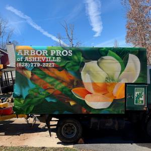 Arbor Pros Tree Service