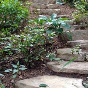 3 Elements Landscaping