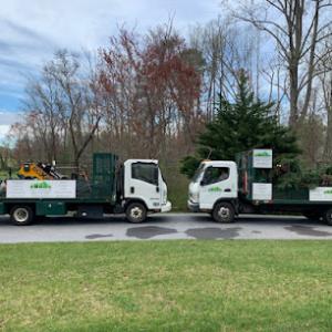 Asheville Landscaping