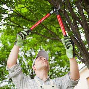 Hendo Tree Service